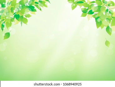 Sky and plant background material