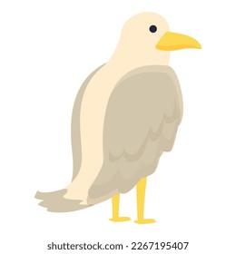 Sky seagull icon cartoon vector. Sea fly. Marine animal