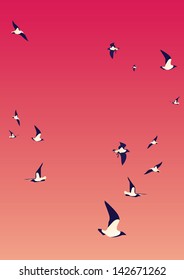 The sky and seagulls
