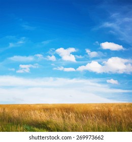 sky and summer fields, vector