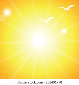  Sky with sun and birds