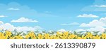 Sky,cloud over flowers spring field on blue background,Horizontal Nature banner floral backdrop decorated with Aconite flower blooming border on clear sky.Vector Yellow flower botanical flat design