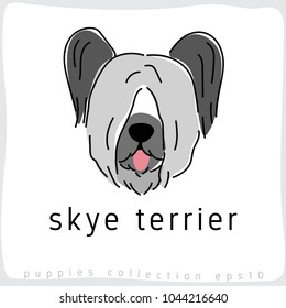 Skye Terrier : Dog Breed Collection : Vector Illustration