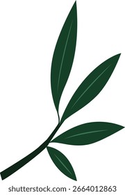 Rama verde inclinada de hojas puntiagudas con espaciamiento natural y curva suave, ilustración de silueta plana.
