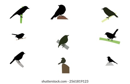 Slaty Flycatcher Bird Silhouette Design  And Vector Illustration. 
