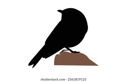 Slaty Flycatcher Bird Silhouette Design  And Vector Illustration. 
