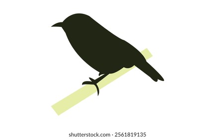 Slaty Flycatcher Bird Silhouette Design  And Vector Illustration. 
