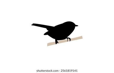 Slaty Flycatcher Bird Silhouette Design  And Vector Illustration. 
