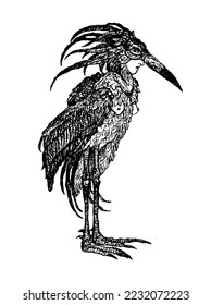 Slavic stork girl bird black ink