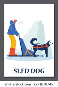 Sled dog trained and used to pull vehicle in harness on snow, flat cartoon vector illustration. Sledding with dogs winter races for entertainment and tourism.