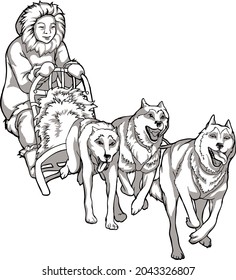 Sled dogs, animal helpers. Linear drawing of dogs driving a man, traditions of the northern peoples, black and white drawing.