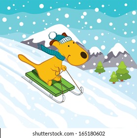 Sledging Dog in Winter Landscape