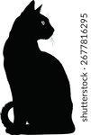 A sleek black cat sits gracefully, facing to the side. Its silhouette is prominent against a plain background. The feline