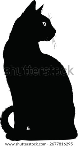 A sleek black cat sits gracefully, facing to the side. Its silhouette is prominent against a plain background. The feline's posture suggests alertness.