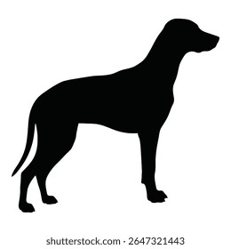 A sleek black dog silhouette against the background