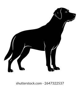 Uma silhueta elegante cão preto em pé graciosamente