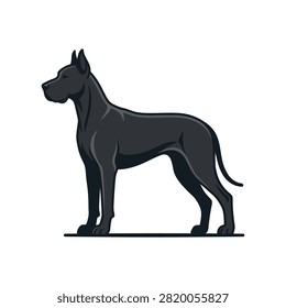 A sleek black Great Dane dog shown in profile, standing alert on a white background. Its muscular build and noble stance are highlighted.