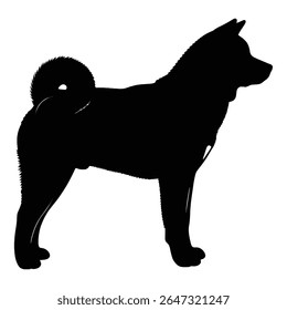  A sleek black silhouette of an Akita Inu dog against an isolated background, showcasing its distinctive features and stance