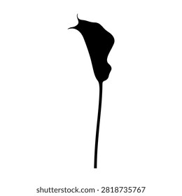 A sleek black silhouette of a calla lily flower, ideal for floral, botanical, or elegant design themes in various creative projects.