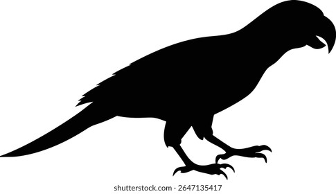 Sleek black silhouette of a parrot bird isolated on a white background for design