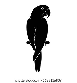 A sleek black silhouette of a parrot perched on a branch, perfect for tropical-themed designs, logos, or minimalist illustrations.