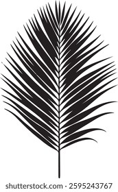 A sleek and elegant palm leaf silhouette design, symbolizing tropical vibes, relaxation, and nature’s beauty. Perfect for a minimalist, beach-inspired T-shirt.