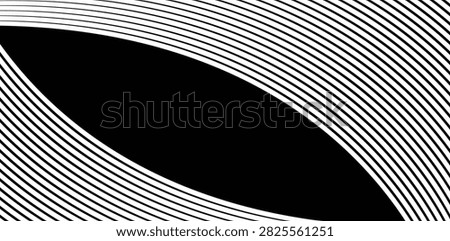 Sleek flowing monochrome lines forming organic elliptical lens shapes