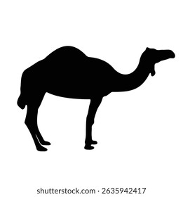 A sleek minimalist black camel silhouette illustration, highlighting its iconic hump and graceful form with clean, bold lines. Set against a white background, this elegant design is perfect for desert