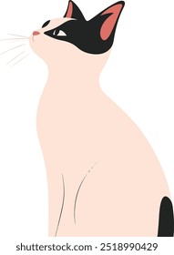 Uma ilustração elegante e minimalista de um gato preto e branco sentado de perfil. 