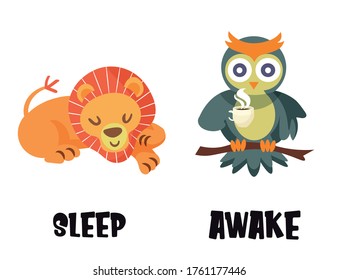 sleep and awake opposite adjectives illustration. Flash cards of animals opposites with a lion and a owl.