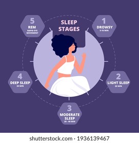 Sleep cycle. Healthy biology, hormones body exposure. Sleeping repeating diagram, melatonin brain reaction. Night rhythm utter vector poster