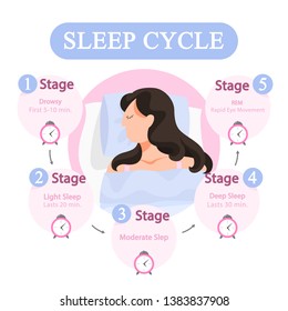 Sleep cycle infographics. Stage of sleep during the night. Phase of deep and moderate sleep, drowsy time. Isolated vector illustration in cartoon style