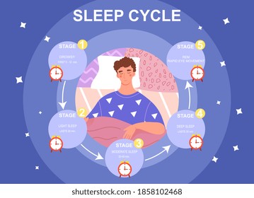 Sleep cycle infographics. Stage of sleep during the night. Phase of deep and moderate sleep, drowsy time. Flat cartoon vector illustration with fictional character