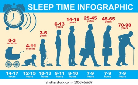 Sleep and cycle of life. How much sleep do you need? Info graphics. Vector illustration.