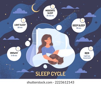 Sleep cycles concept. Woman with cat lies on pillow under blanket. Infographics and knowledge, correct daily routine and health care. Poster or banner for website. Cartoon flat vector illustration