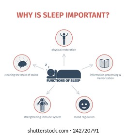 Sleep Infographic Importance Sleep Functions Flat Stock Vector (Royalty ...