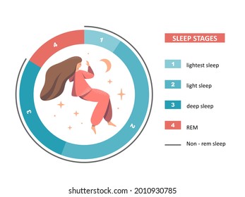 Sleep stages illustration. The figure shows a pie chart of stages of sleep and a sleeping young woman on a white background. Healthy, proper sleep. Flat cartoon vector illustration.