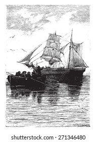 Sleep well! cried the last time the captain, vintage engraved illustration.  Jules Verne, a 15 year old captain. 