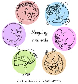 Sleeping animals, vector illustration
