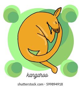 Sleeping baby kangaroo. Vector outline