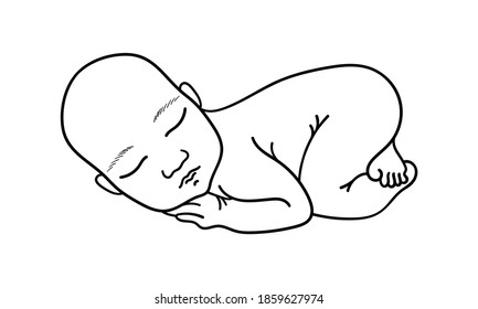 Sleeping baby. Newborn outline icon. Vector illustration.