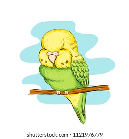 Sleeping baby parrot illustration for poster, printing of textiles or pajama, web site, bedroom wallpaper. For pet shop, exhibition, event for children. Cute hand drawn sketch style graphic