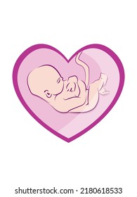 Sleeping baby in the womb in the shape of a heart.