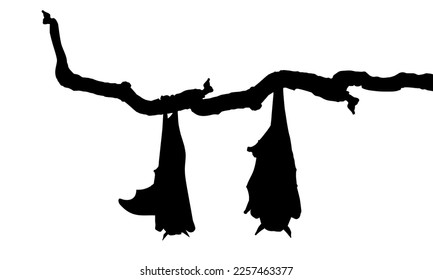 Sleeping Bat on the Branch Tree Silhouette for Halloween Poster, Art Illustration, Horror Movie or Film Poster of for Graphic Design Element. Vector Illustration