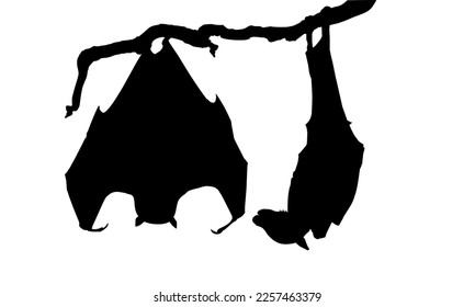 Sleeping Bat on the Branch Tree Silhouette for Halloween Poster, Art Illustration, Horror Movie or Film Poster of for Graphic Design Element. Vector Illustration