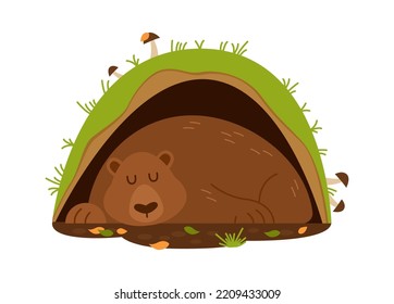 Sleeping bear in the burrow. Vector illustration