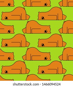 Sleeping bear pattern seamless. Grizzly is sleeping background. vector texture 
