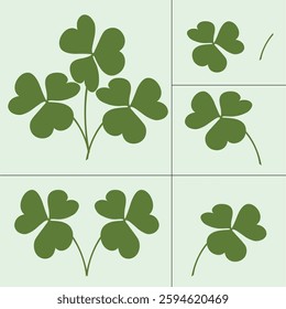 Sleeping Beauty, also known as creeping Wood Sorrel or Procumbent Yellow Sorrel, is a low-growing herbaceous plant.