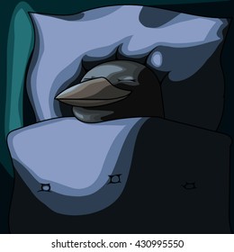 Sleeping bird. Night time.