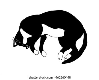 Sleeping black and white cat. Vector illustration, isolated on white.